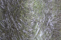 Far Ley fibreglass roof work